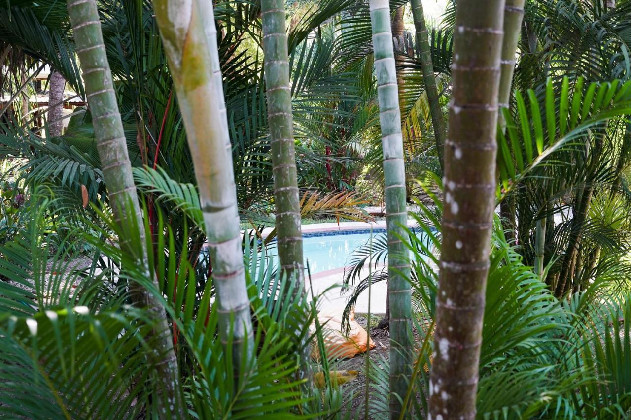 Hotel Luz De Luna Playa Santa Teresa  Esterno foto